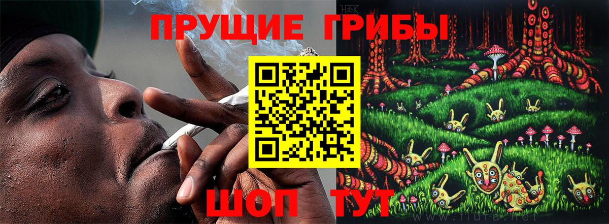 Псилоцибиновые грибы прущие грибы  Галлюциногенные грибы мухоморы  Вход с VPN  Геленджик 