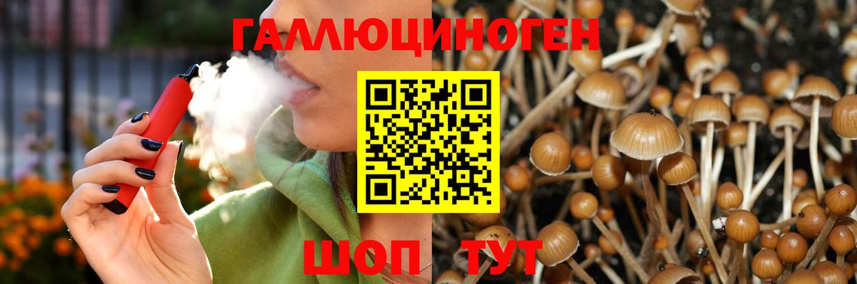 Псилоцибиновые грибы MAGIC MUSHROOMS Геленджик